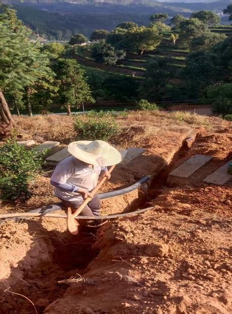 茶园水肥一体化建设方案(图11)