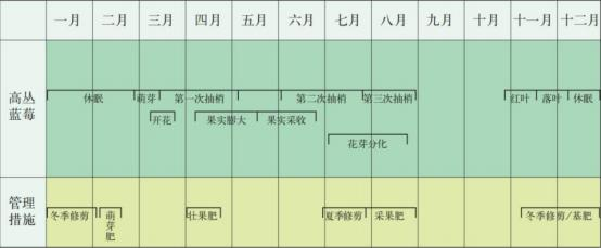 蓝莓大棚水肥一体化种植方案(图12)